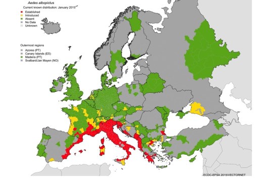 Dengue Europa