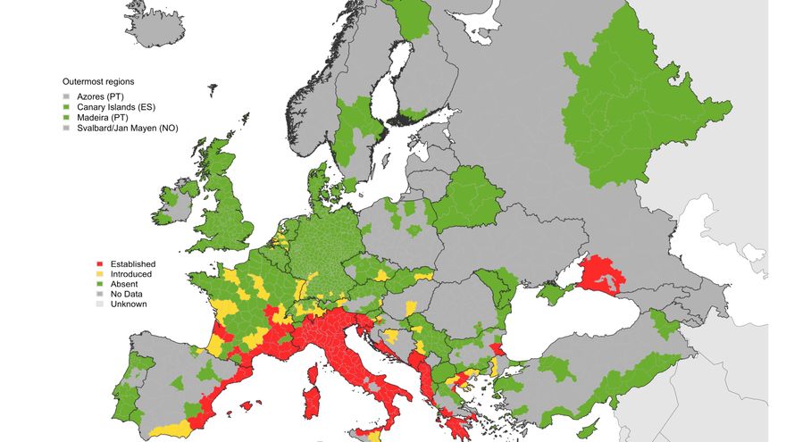 Zika Europa